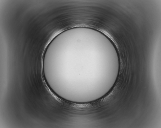 X0000087351290200704200756