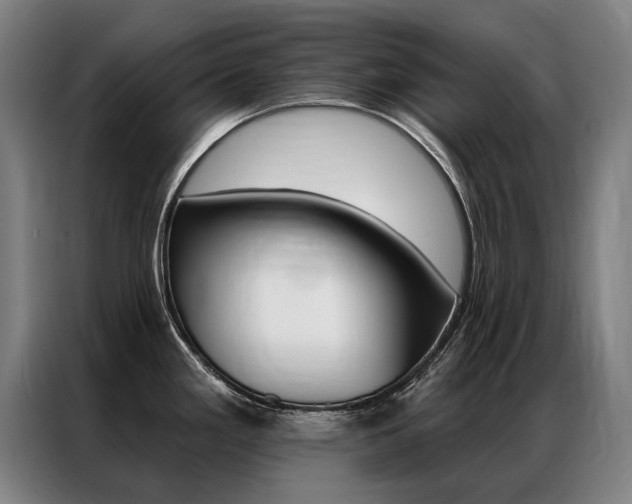 X0000087351293200704200756