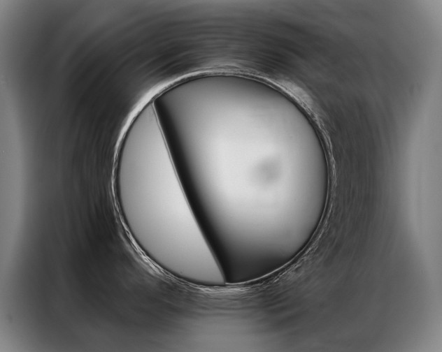 X0000087351296200704200756