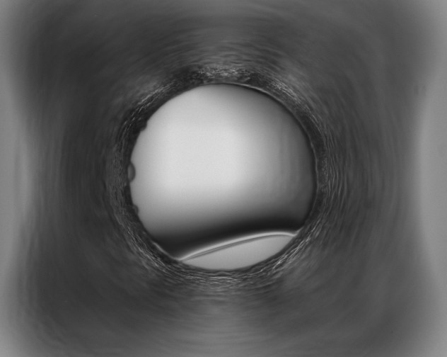 X0000087351297200704200756