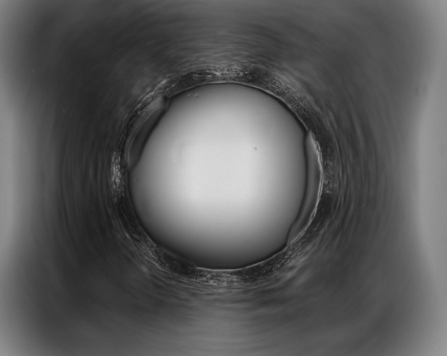 X0000087351298200704200756