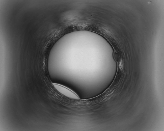 X0000087351299200704200756