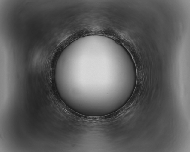 X0000087351301200704200756