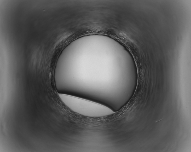 X0000087351302200704200756