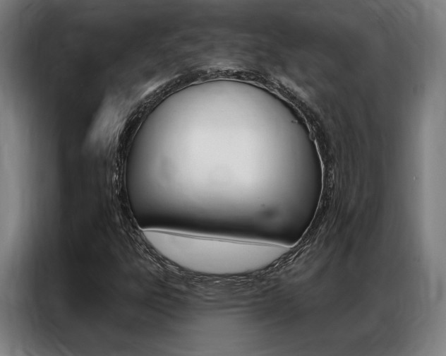 X0000087351303200704200756