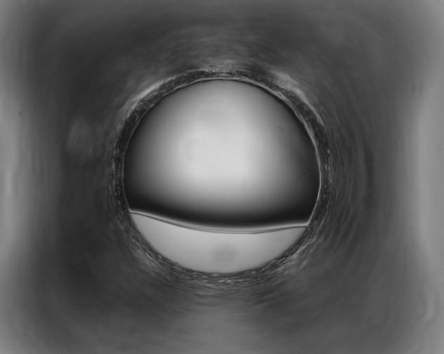X0000087351304200704200756