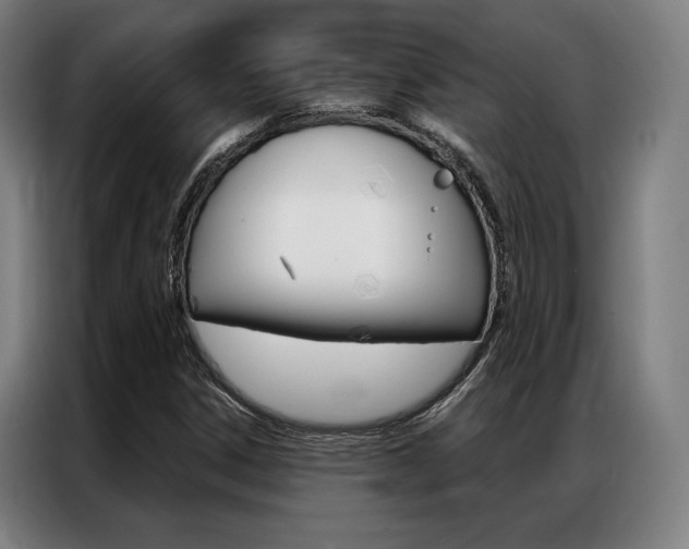 X0000087351306200704200756