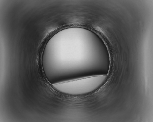 X0000087351307200704200756
