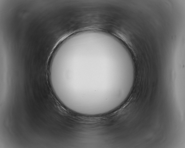 X0000087351308200704200756
