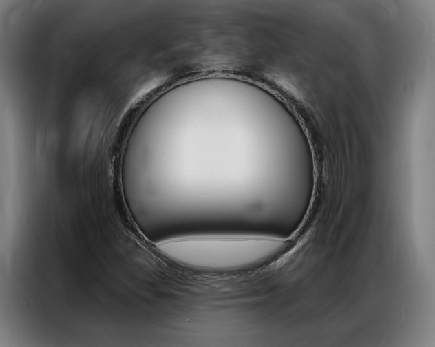 X0000087351309200704200756