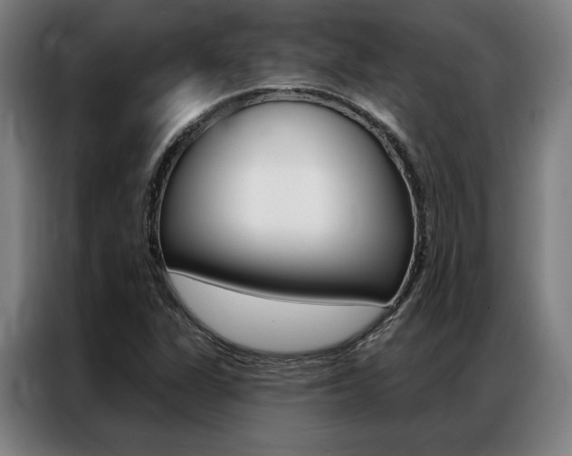 X0000087351311200704200756