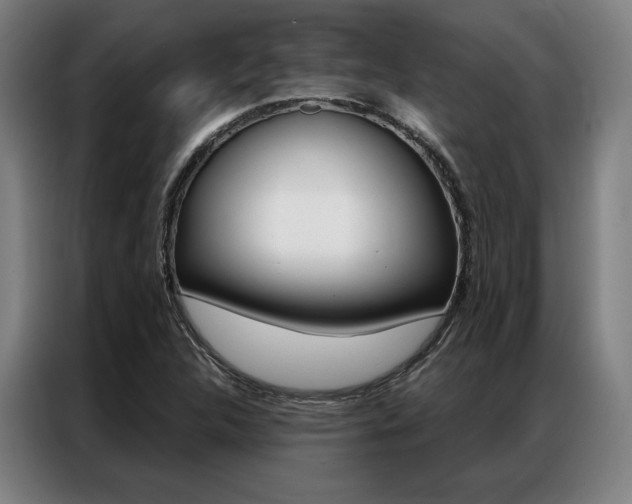 X0000087351312200704200756