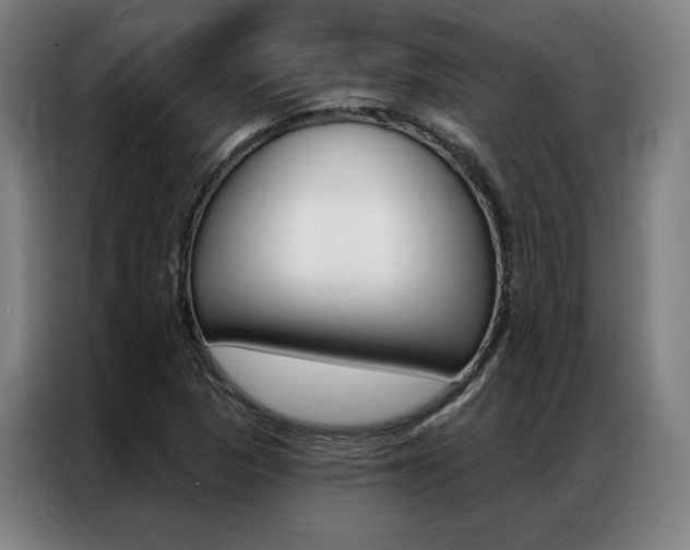 X0000087351313200704200756