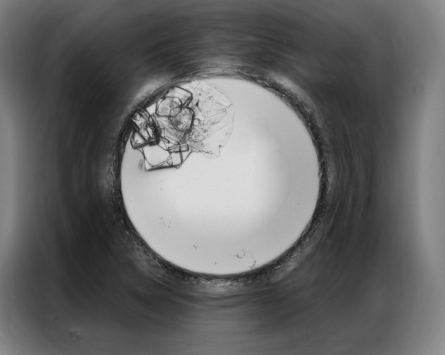 X0000087351314200704200756