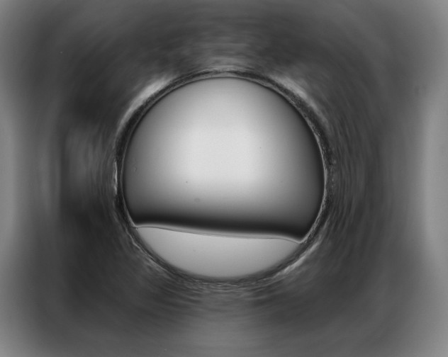 X0000087351317200704200756