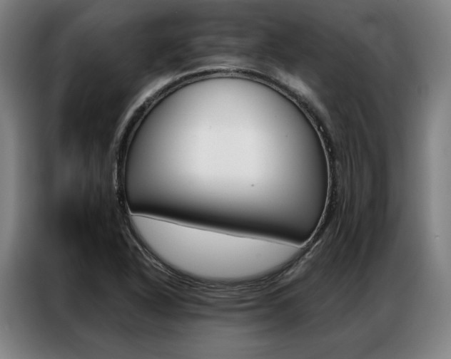 X0000087351318200704200756