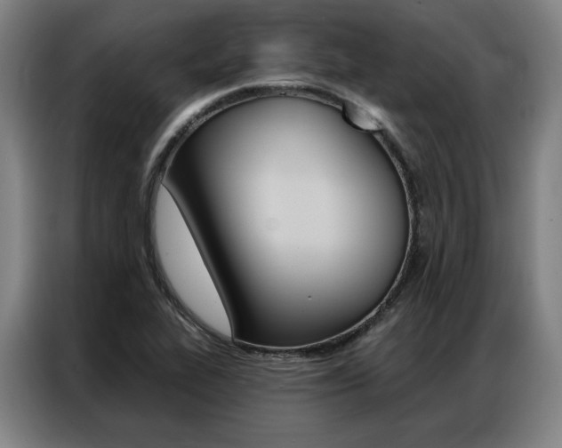 X0000087351319200704200756