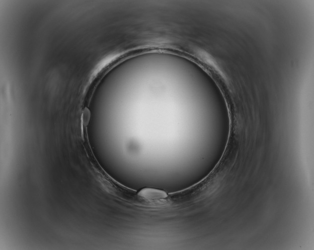 X0000087351320200704200756