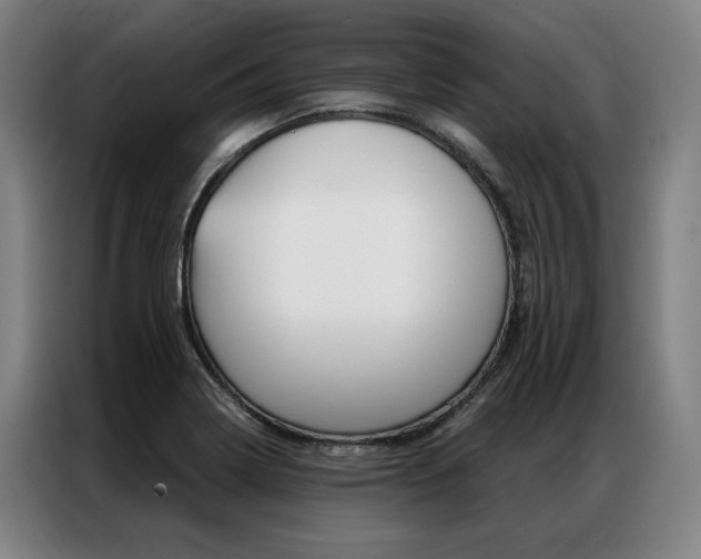 X0000087351322200704200756