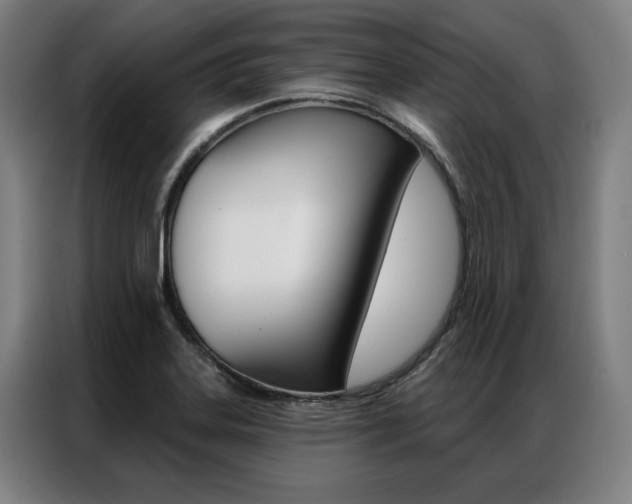 X0000087351323200704200756