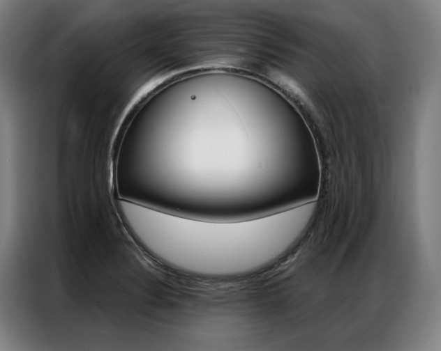 X0000087351324200704200756