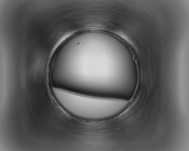 X0000087351325200704200756