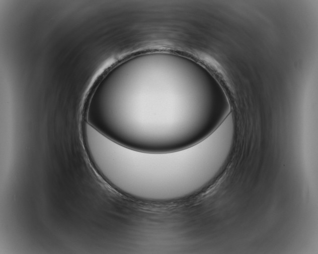 X0000087351326200704200756
