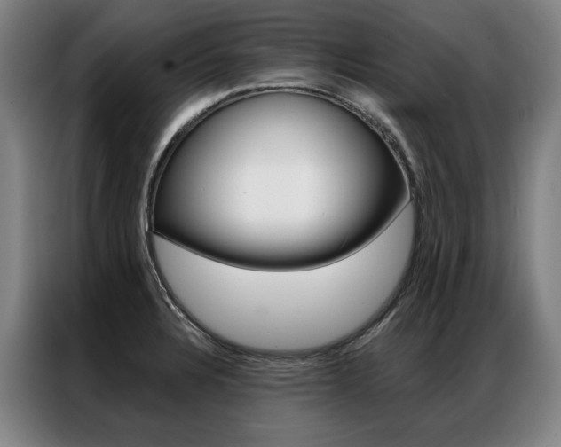 X0000087351328200704200756