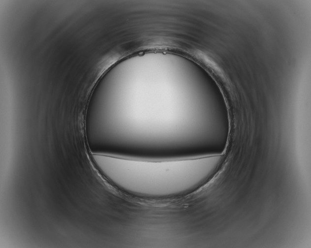 X0000087351329200704200756
