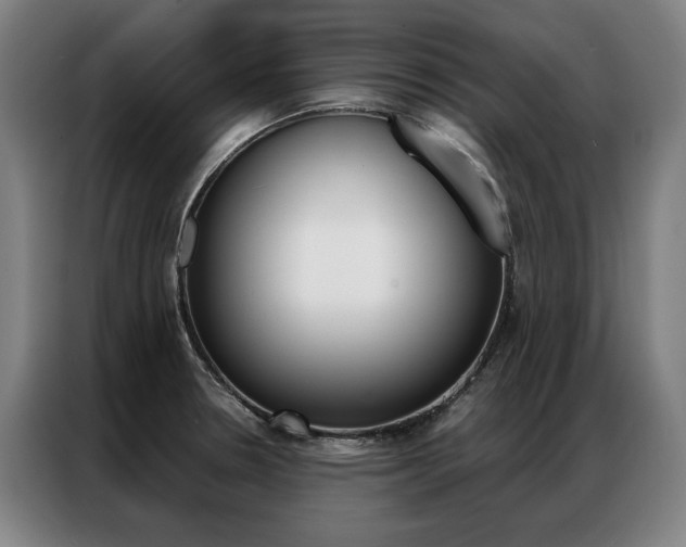 X0000087351330200704200756