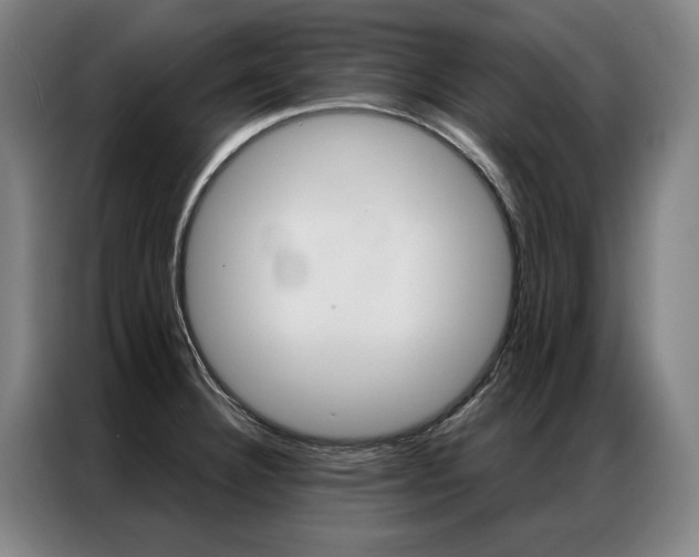 X0000087351332200704200756