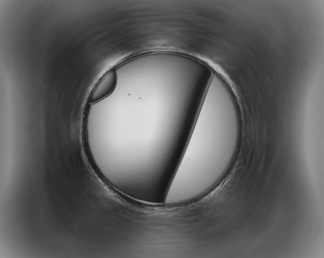 X0000087351333200704200756