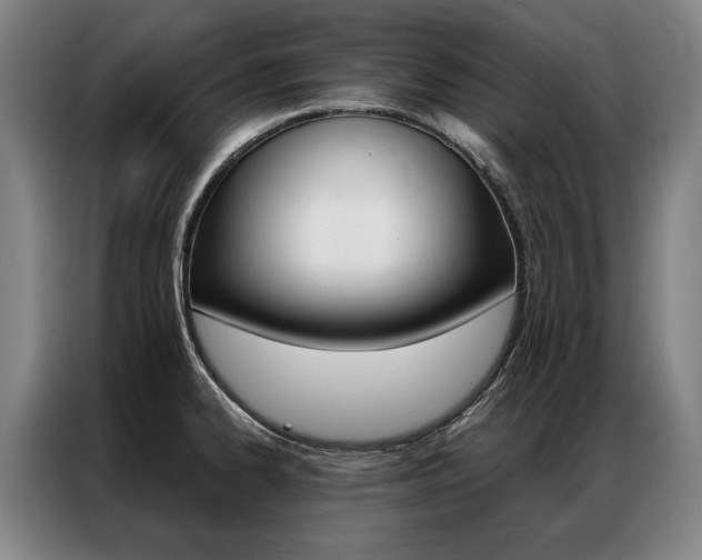 X0000087351334200704200756