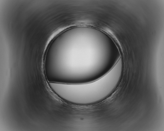 X0000087351336200704200756