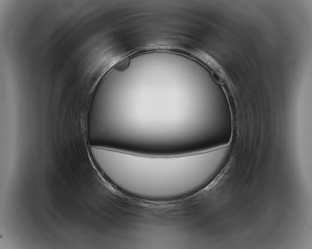 X0000087351337200704200756