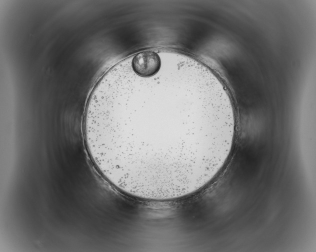 X0000087351338200704200756