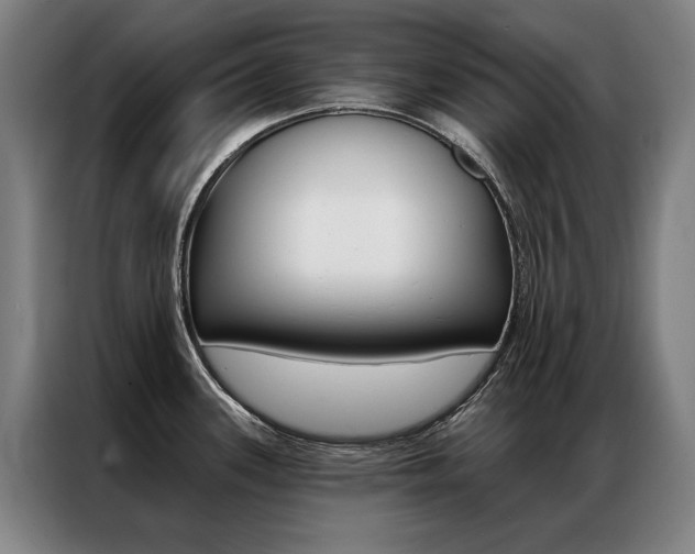 X0000087351339200704200756