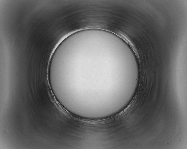 X0000087351340200704200756