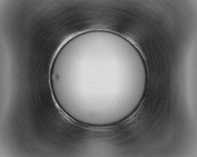X0000087351342200704200756
