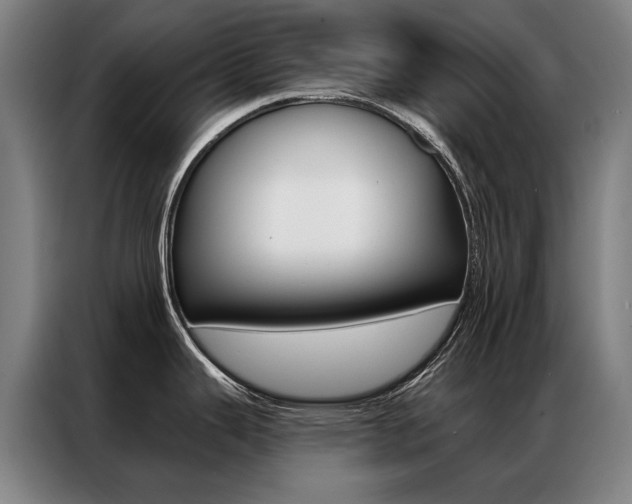 X0000087351343200704200756