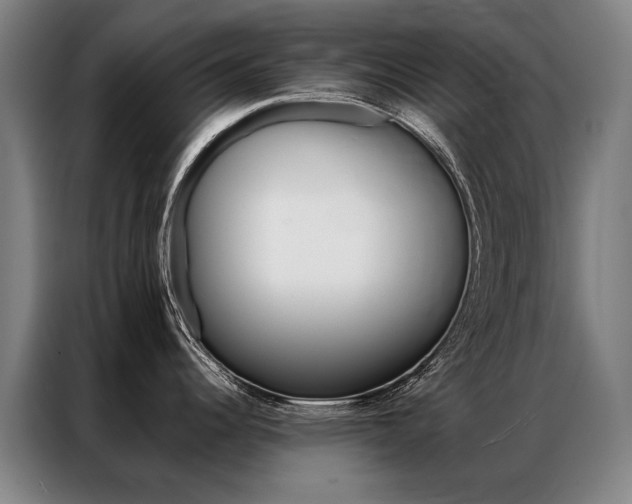 X0000087351344200704200756