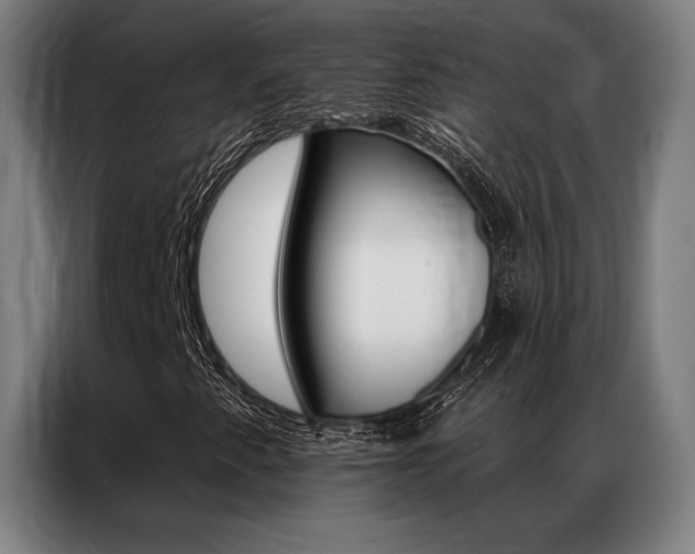 X0000087351345200704200756
