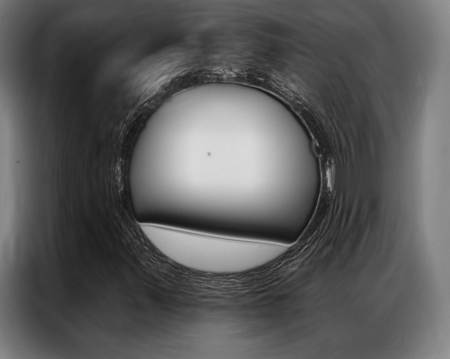 X0000087351347200704200756