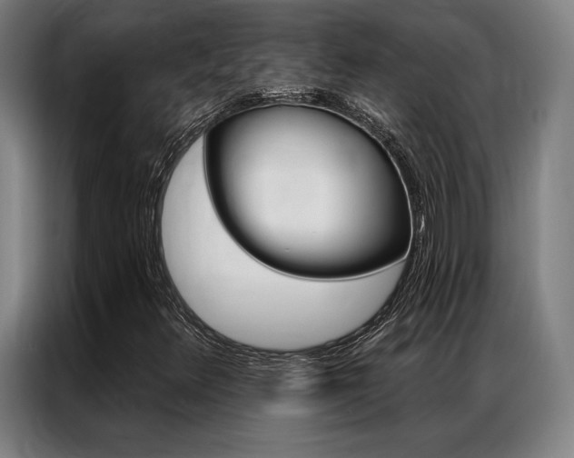 X0000087351348200704200756