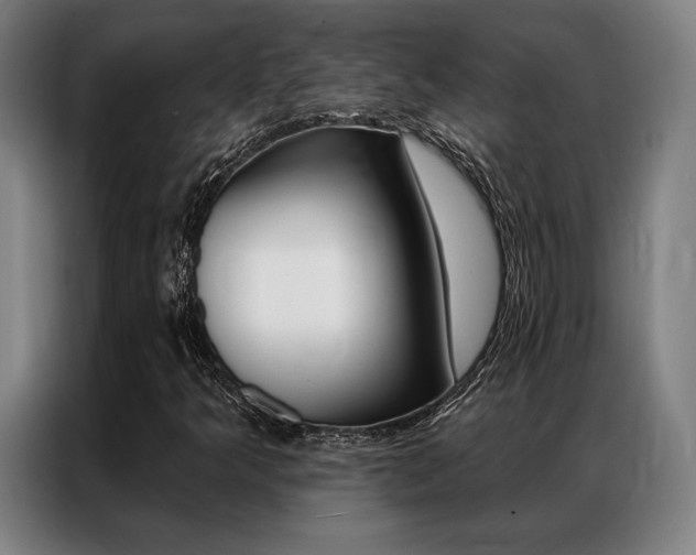 X0000087351349200704200756