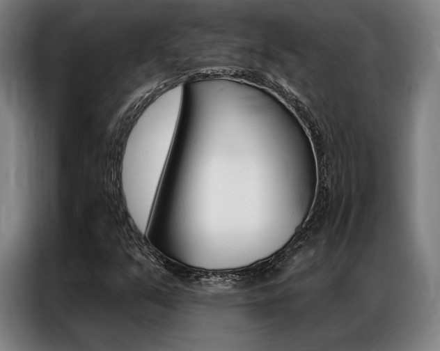 X0000087351351200704200756