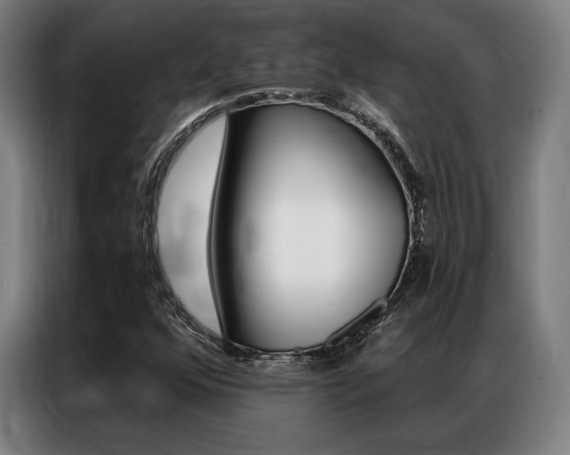 X0000087351352200704200755