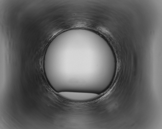 X0000087351353200704200755