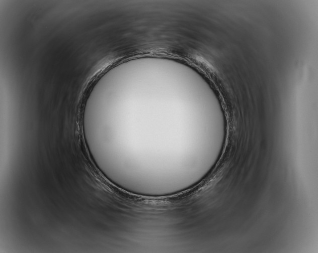 X0000087351354200704200755