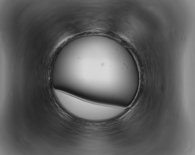 X0000087351355200704200755